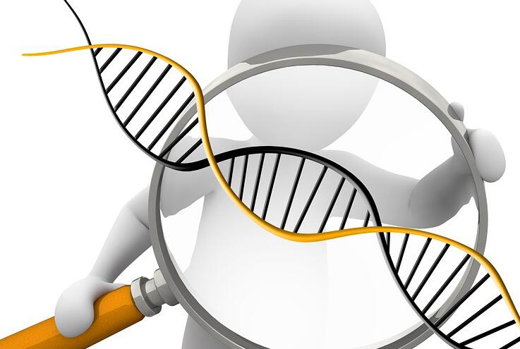 承德哪个医院可以做DNA亲子鉴定呢,承德医院办理DNA亲子鉴定详细流程