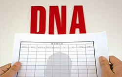 承德司法DNA亲子鉴定流程是怎样的呢，承德司法亲子鉴定如何做